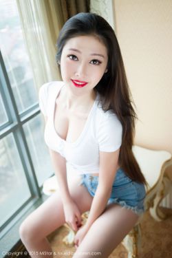 红猪国语版